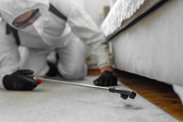 Professional Bed Bug Control technician working in Mineral Ridge, OH
