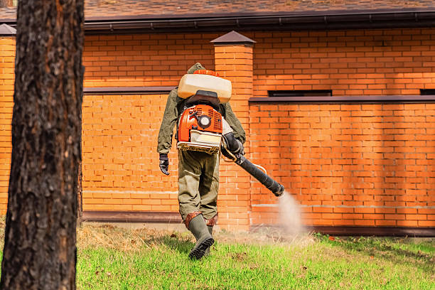 Trusted Rodent Control service in Mineral Ridge, OH - Nex Pest Control